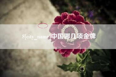 昌乐中国哪几项金牌
