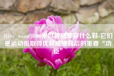 昌乐5000米世界冠军穿什么鞋-它们是运动员取得优异成绩背后的重要“功臣”