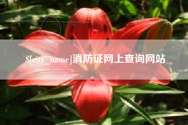 昌乐消防证网上查询网站