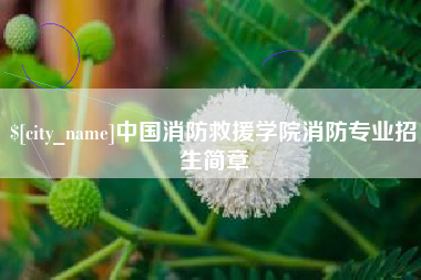 昌乐中国消防救援学院消防专业招生简章