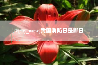 昌乐我国消防日是哪日