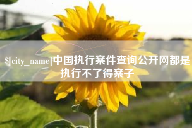 昌乐中国执行案件查询公开网都是执行不了得案子
