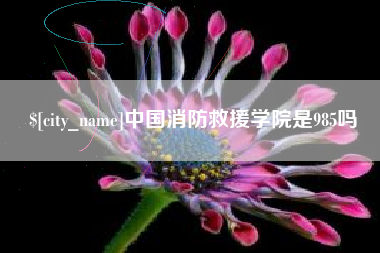 昌乐中国消防救援学院是985吗