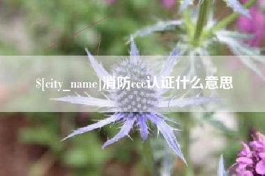 昌乐消防ccc认证什么意思