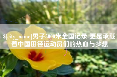 昌乐男子5000米全国记录-更是承载着中国田径运动员们的热血与梦想