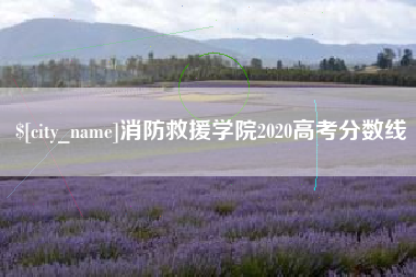 昌乐消防救援学院2020高考分数线