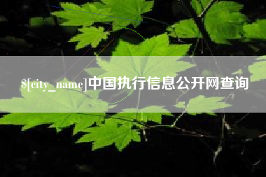 昌乐中国执行信息公开网查询