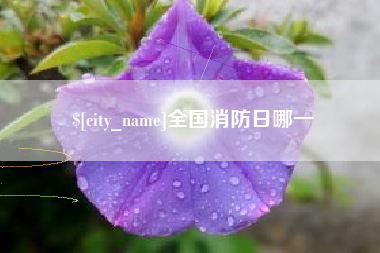 昌乐全国消防日哪一