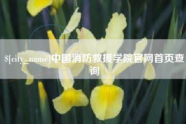 昌乐中国消防救援学院官网首页查询