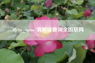 昌乐消防证查询全国联网