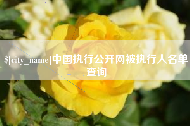 昌乐中国执行公开网被执行人名单查询