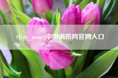 昌乐中国消防网官网入口