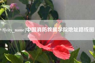 昌乐中国消防救援学院地址路线图