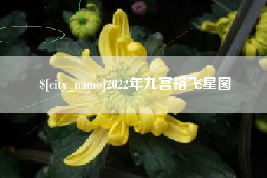 昌乐2022年九宫格飞星图
