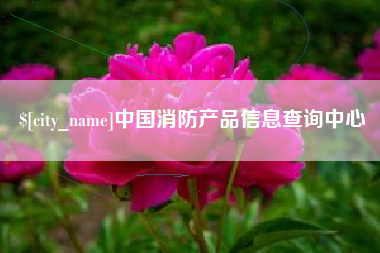 昌乐中国消防产品信息查询中心