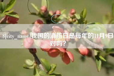 昌乐我国的消防日是每年的11月9日对吗？