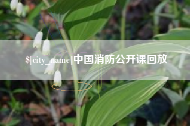 昌乐中国消防公开课回放