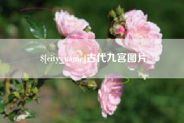 昌乐古代九宫图片