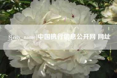 昌乐中国执行信息公开网 网址