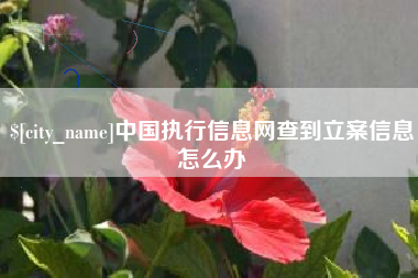 昌乐中国执行信息网查到立案信息怎么办