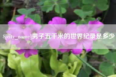 昌乐男子五千米的世界纪录是多少