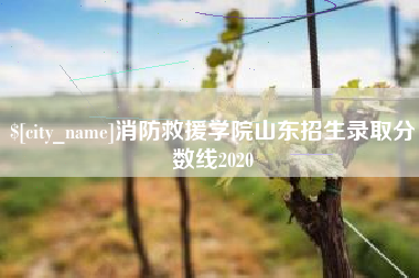 昌乐消防救援学院山东招生录取分数线2020