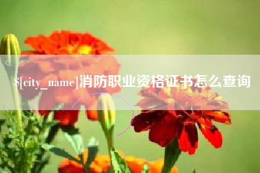 昌乐消防职业资格证书怎么查询