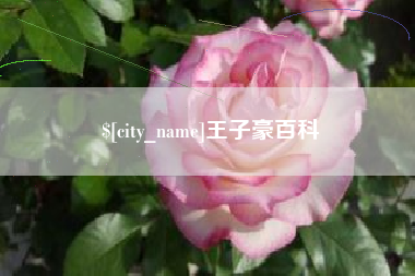 昌乐王子豪百科