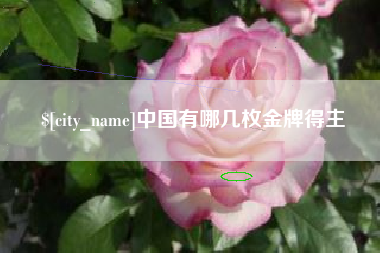 昌乐中国有哪几枚金牌得主