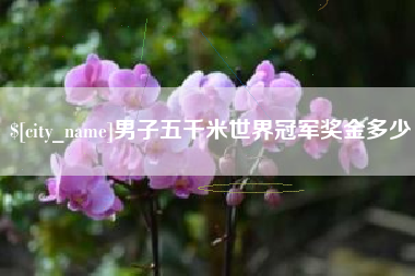 昌乐男子五千米世界冠军奖金多少
