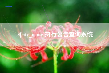 昌乐执行公告查询系统