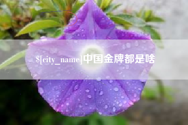 昌乐中国金牌都是啥