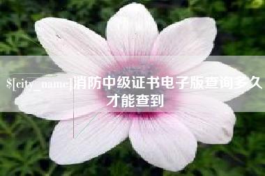 昌乐消防中级证书电子版查询多久才能查到