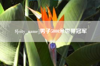 昌乐男子5000米世界冠军