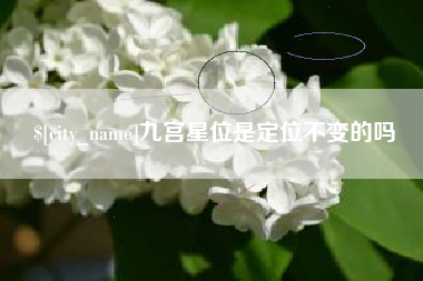 昌乐九宫星位是定位不变的吗