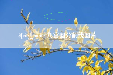 昌乐九宫图分割线图片