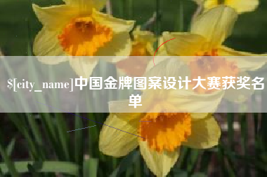 昌乐中国金牌图案设计大赛获奖名单