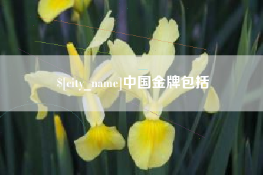 昌乐中国金牌包括