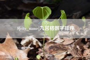 昌乐九宫格数字排序