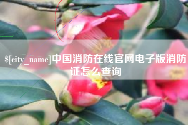 昌乐中国消防在线官网电子版消防证怎么查询