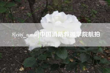 昌乐中国消防救援学院航拍