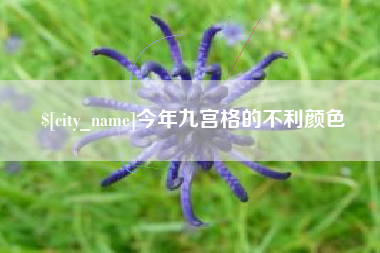 昌乐今年九宫格的不利颜色