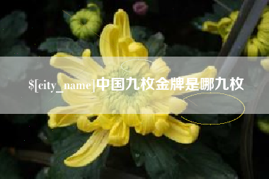 昌乐中国九枚金牌是哪九枚