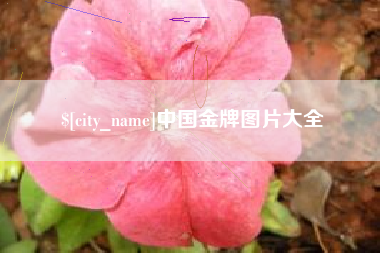 昌乐中国金牌图片大全