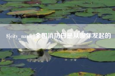 昌乐全国消防日是从哪年发起的