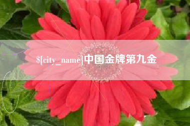 昌乐中国金牌第九金