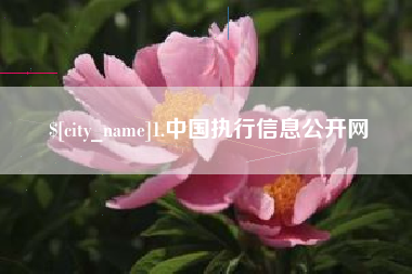 昌乐1.中国执行信息公开网