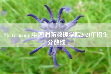 昌乐中国消防救援学院2024年招生分数线