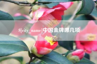 昌乐中国金牌哪几项