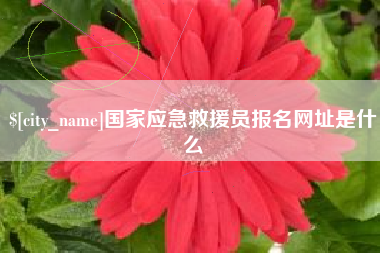 昌乐国家应急救援员报名网址是什么